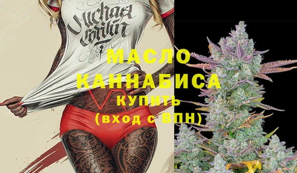 прущие грибы Тайга